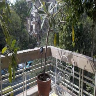 Bed And Breakfast Of Exclusive Gold Category, New Delhi 1